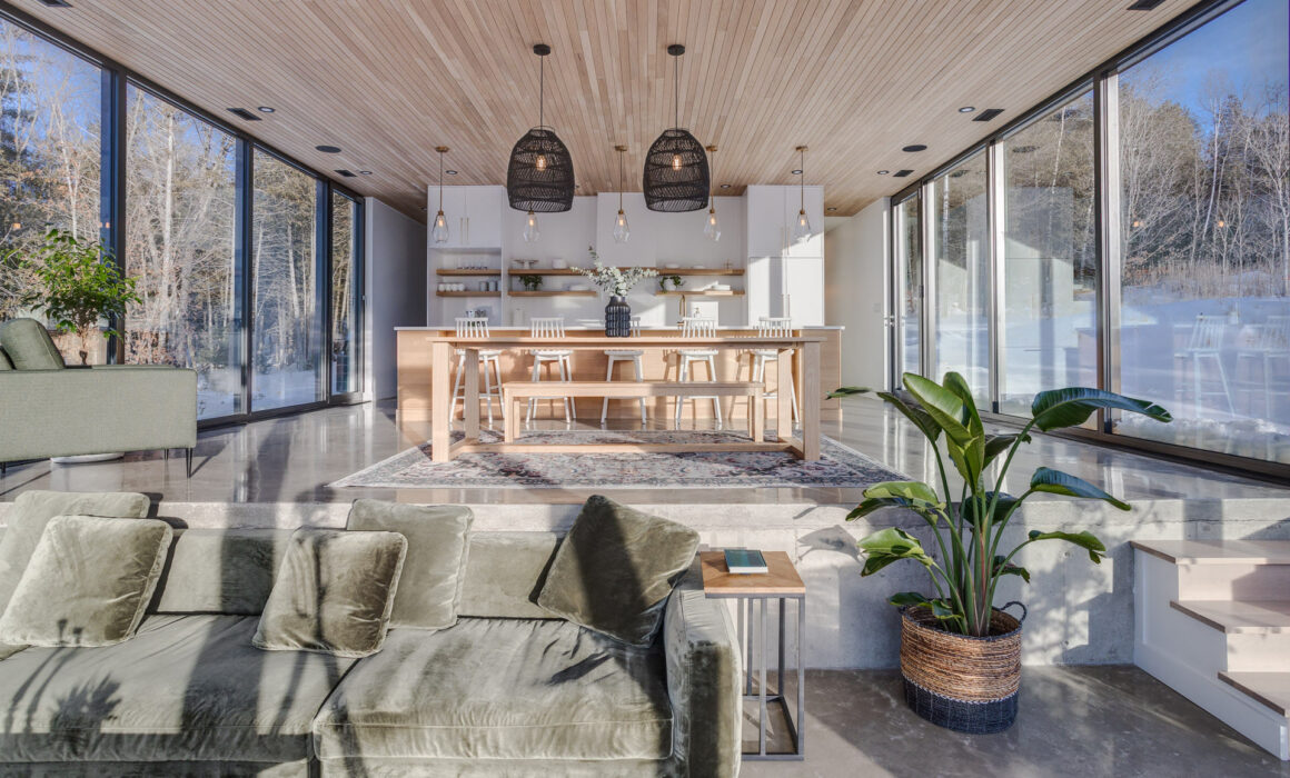 Vue ouverte sur cuisine moderne, salle à manger et salon avec divan vert olive, grandes fenêtres et plante tropicale.